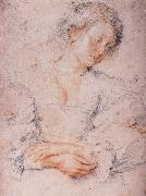 Peter Paul Rubens The Girl oil painting artist